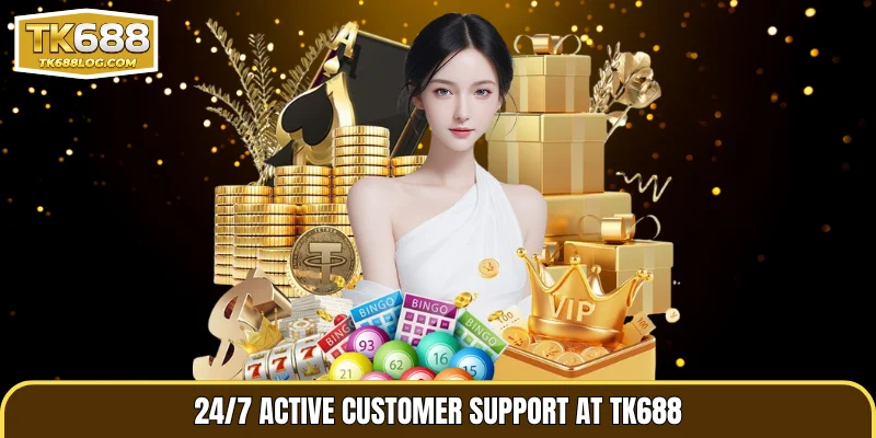 24/7 active customer support at TK688
