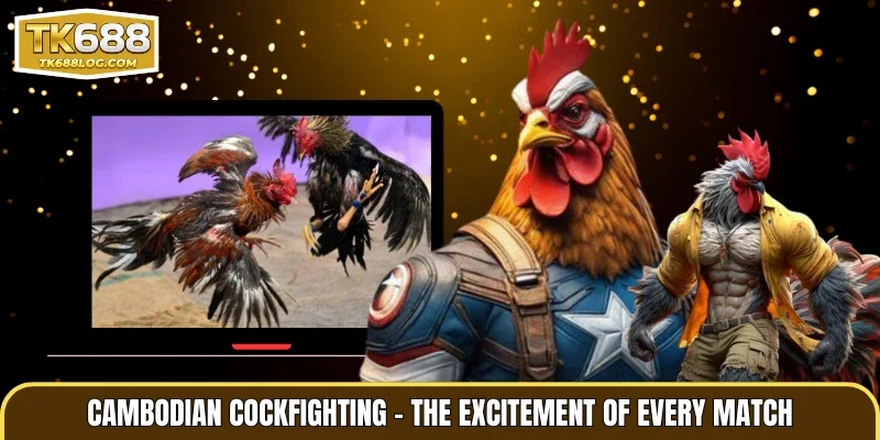 Cambodian Cockfighting – The Excitement of Every Match